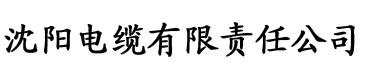 校长妈妈陈淑芳夏鎏枫电缆厂logo